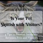 is your pet skittish with visitors? 4 tips to prevent incidents