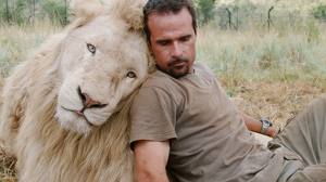 African Lions New Endangered Species