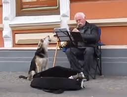 Ukrainian stray dog sings