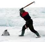 STOP Canadian Seal Slaughter