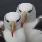 Garbage versus Nature – What are we doing?  Video about Life and Death