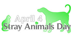 April 4 World Stray Animals Day