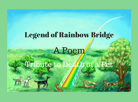 Legend of Rainbow Bridge Poem, Tribute to Death of a Pet