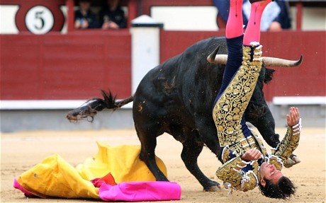 Madrid Bullfight Suspended