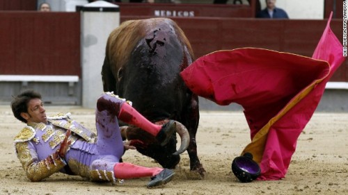 Madrid Bullfight Suspended