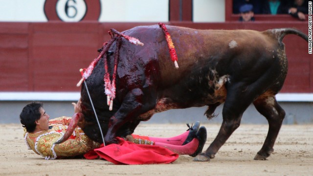 Madrid Bullfight Suspended
