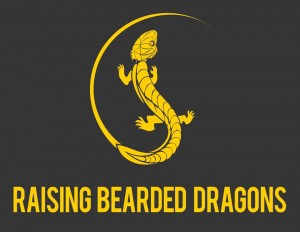 Raising Bearded Dragons Ultimate Care Guide