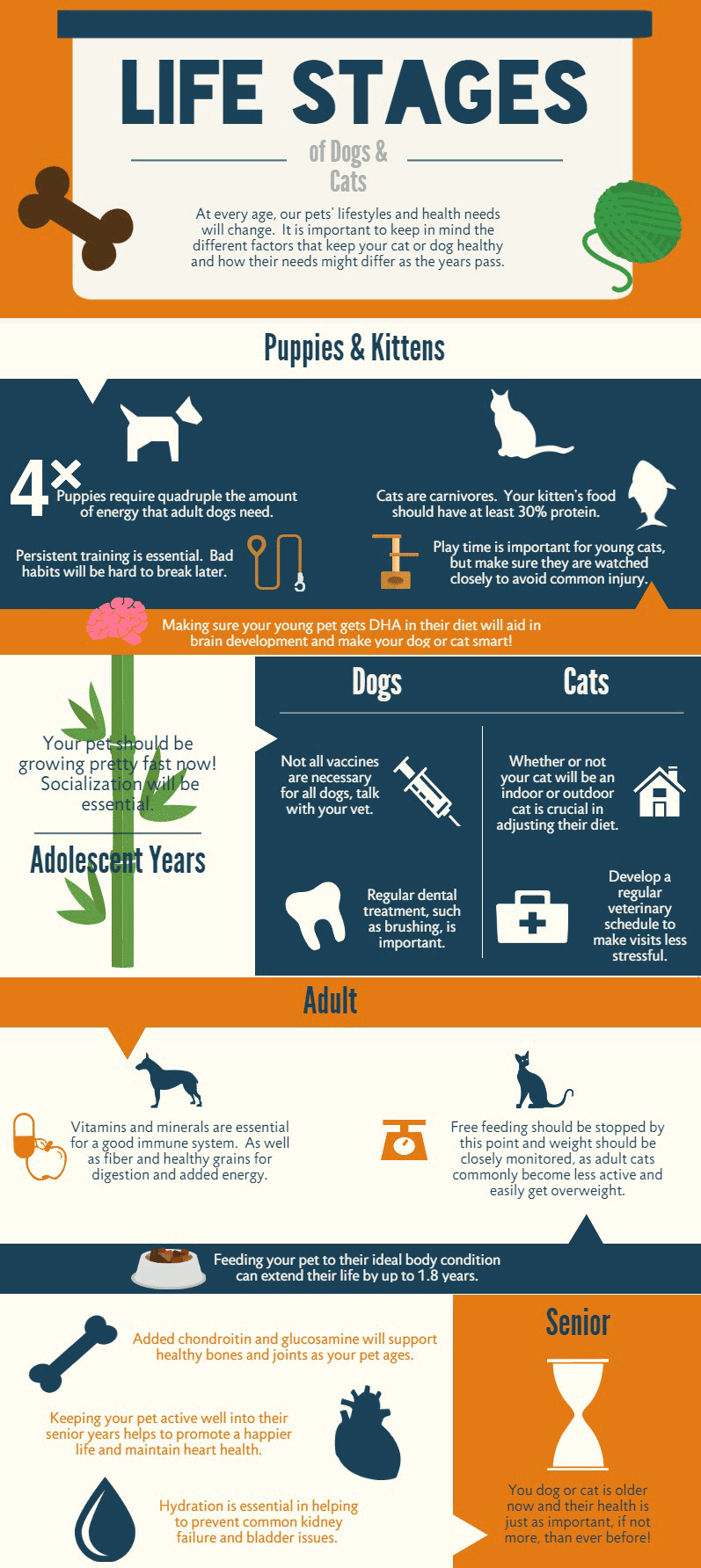 Life Stages of Dogs and Cats | New Petbrosia Infographic