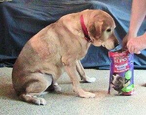 Alpo Wholesome Dog Biscuit Review with Jake