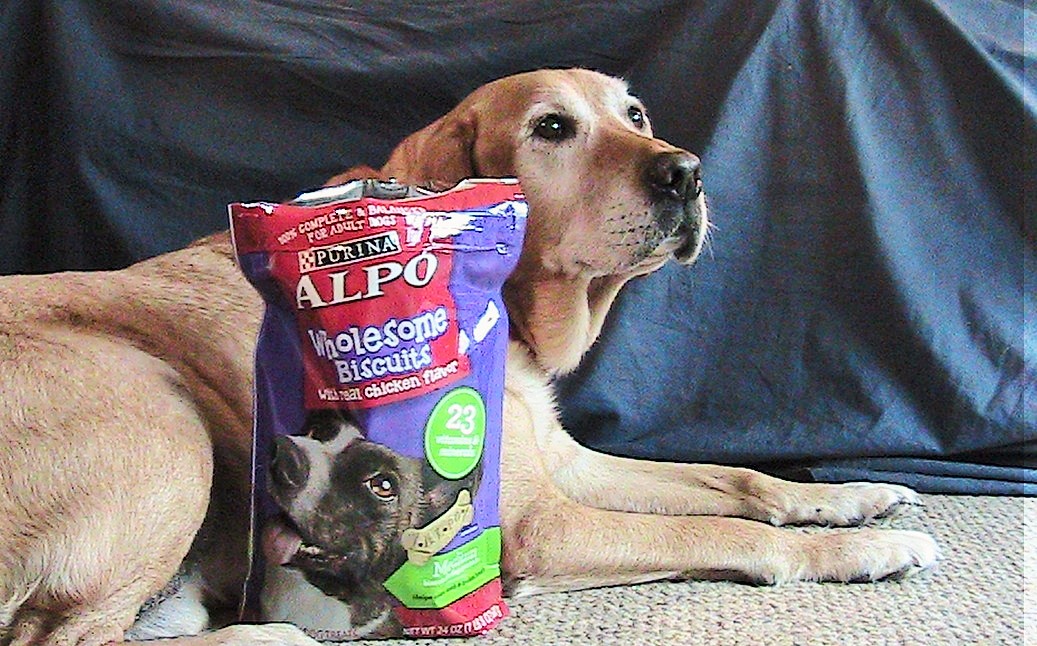 Alpo Wholesome Dog Biscuit Review with Jake