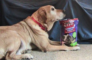 Alpo Wholesome Dog Biscuit Review with Jake