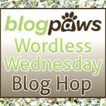 What is a Blog Hop? aka Link Parties or Link-Up Parties