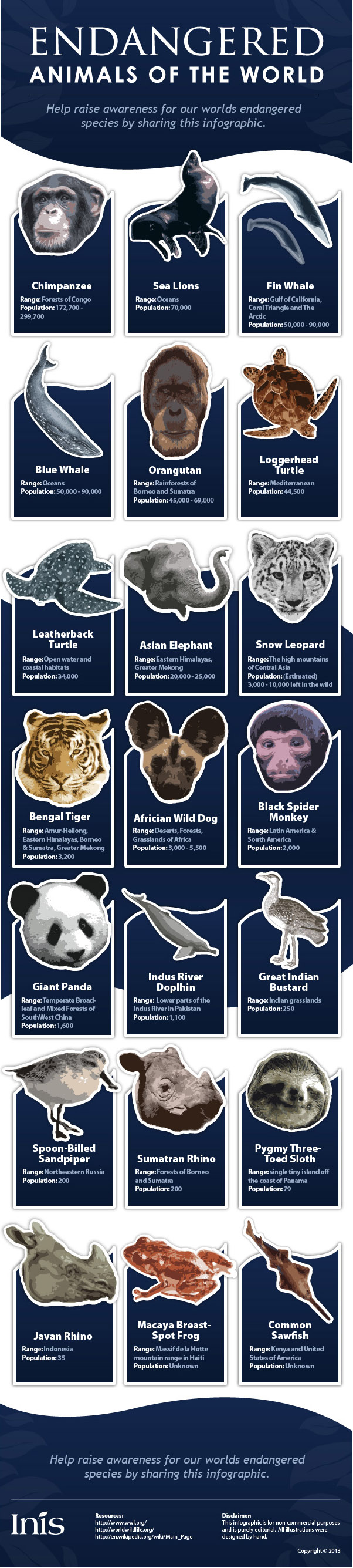 Endangered Animals of the World Infographic