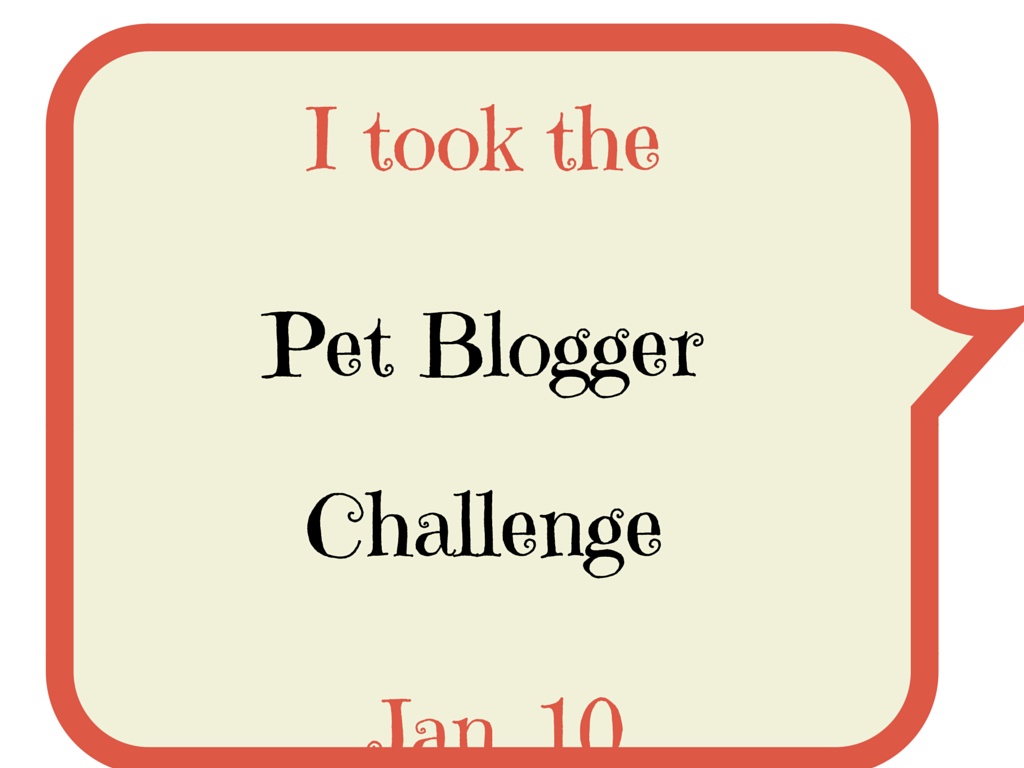 5th Annual Pet Blogger Challenge 2015 Blog Hop