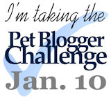 Fifth Annual Pet Blogger Challenge 2015