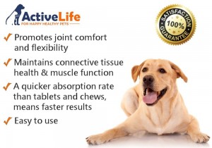 Active Life Hip and Joint Formula Review