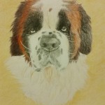 Pet Portraits by Holly Witts