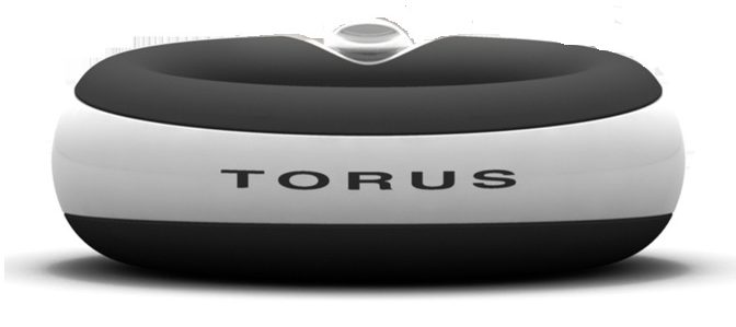 torus water bowl review