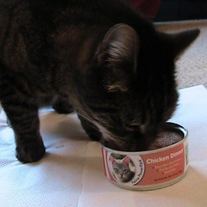 Only Natural Pet Feline PowerFood REVIEW