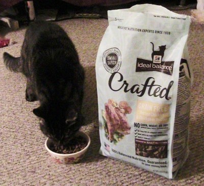 Hill's Ideal Balance Crafted Cat Food