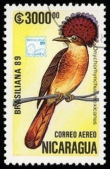 Royal Flycatcher Stamp from Nicaragua