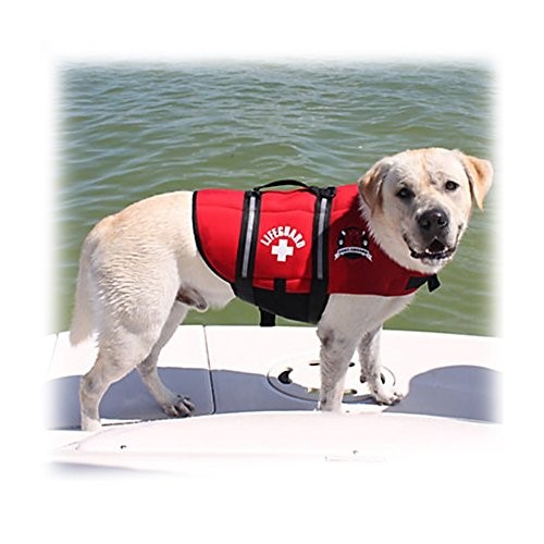 best dog life vest