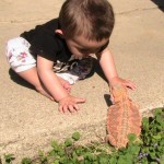 A Boy and a Bearded Dragon, a Wordless Wednesday
