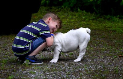 Why You Must Include the Kids in Your Dog Obedience Training