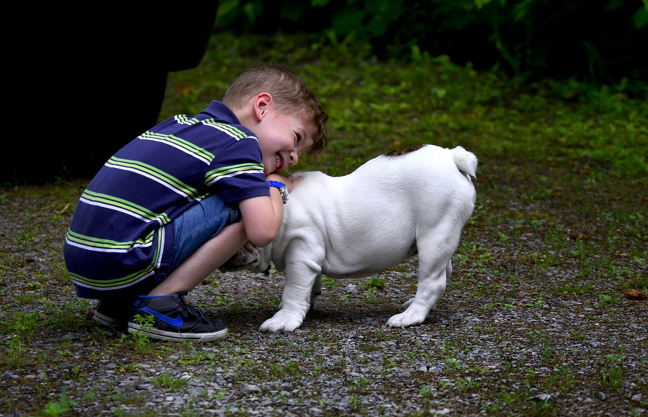 Why You Must Include the Kids in Your Dog Obedience Training