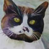 Featuring  Animal Portrait Artist : Sheri Hoeger, USA : Animal Bliss