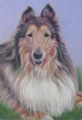 Featuring  Animal Portrait Artist : Sheri Hoeger, USA : Animal Bliss