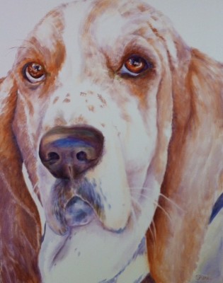 Featuring  Animal Portrait Artist : Sheri Hoeger, USA : Animal Bliss