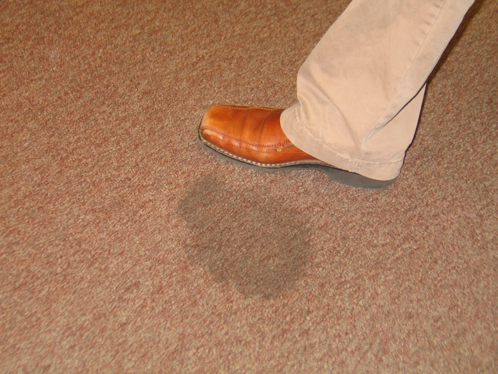 Carpet Cleaning For Pet Owners : 4 Tips and Reminders