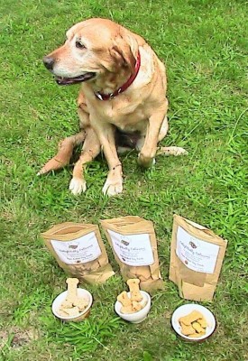 Delightfully Delicious Dog Treats Review