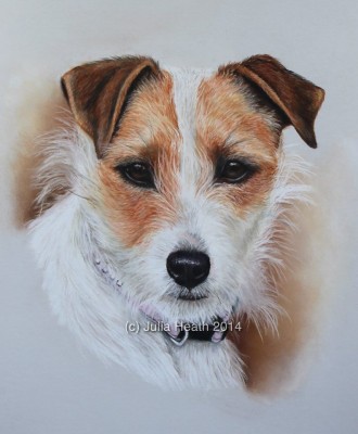 Pet Portrait Artist: Julie Heath: Ruthin, North Wales, UK