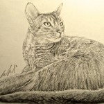 Kate Evans, Pet Portrait Artist