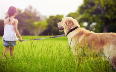 The Science Behind Tick Prevention