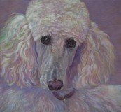 Featuring  Animal Portrait Artist : Sheri Hoeger, USA : Animal Bliss