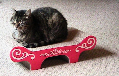 Catit Bench Scratcher with Catnip Review