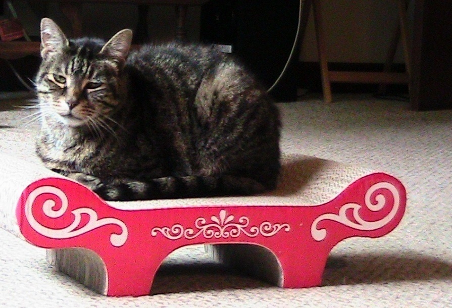 Catit Bench Scratcher Review