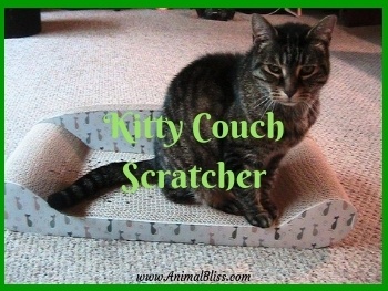 Kitty Couch Scratcher - No More Shredded Furniture!