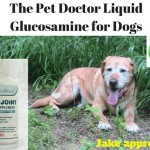 Pet Doctor Liquid Glucosamine for Dogs #thepetdoctorhipsjoints