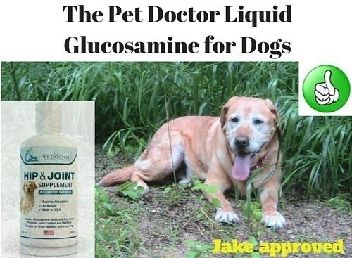 The Pet Doctor Liquid Glucosamine for Dogs