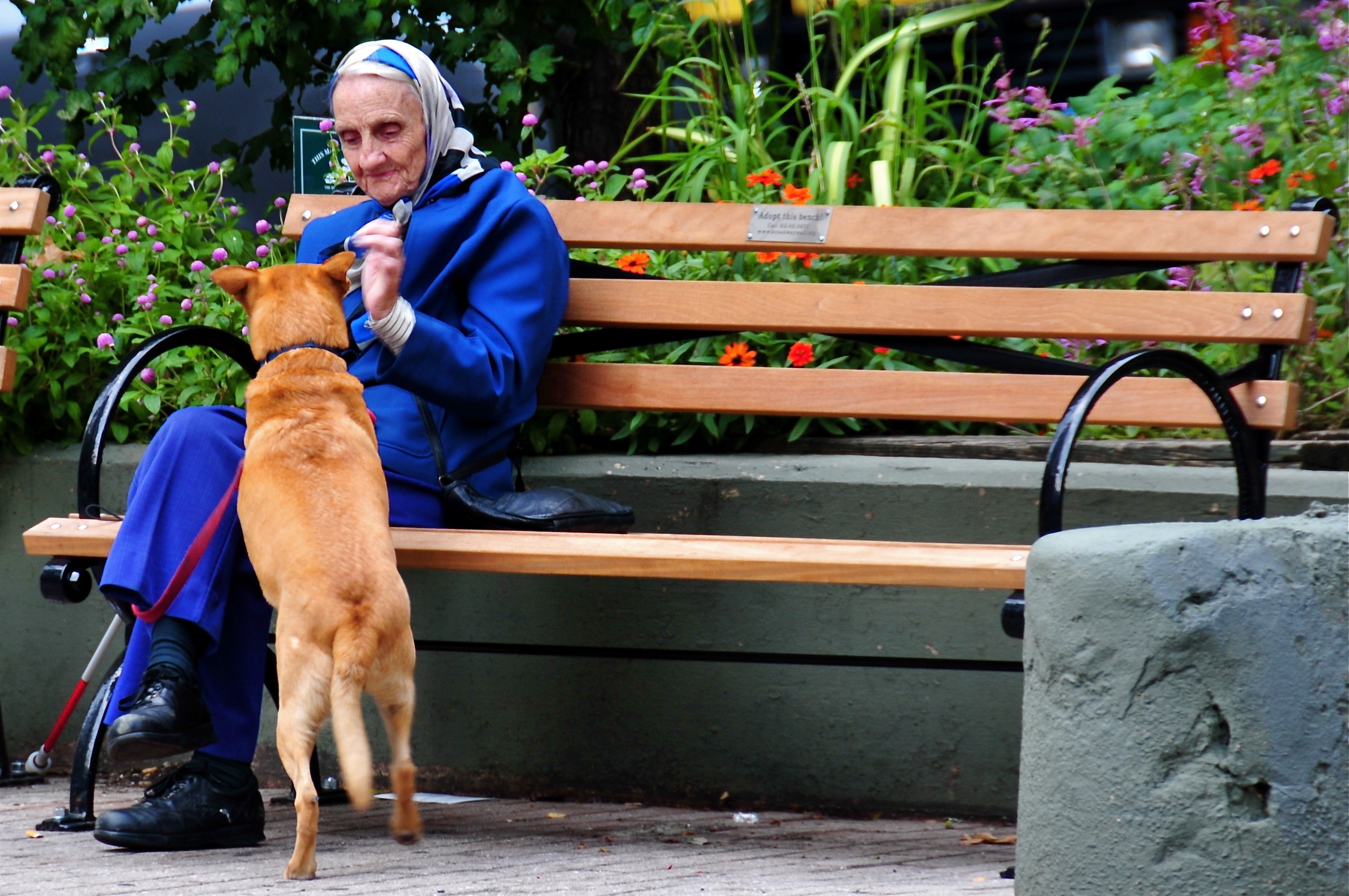 Pets are Good for Us, Especially as We Age