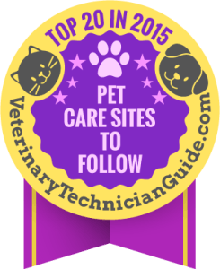 Top 20 Pet Care Sites to Follow in 2015