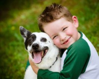 Choosing the right dog for your family with children