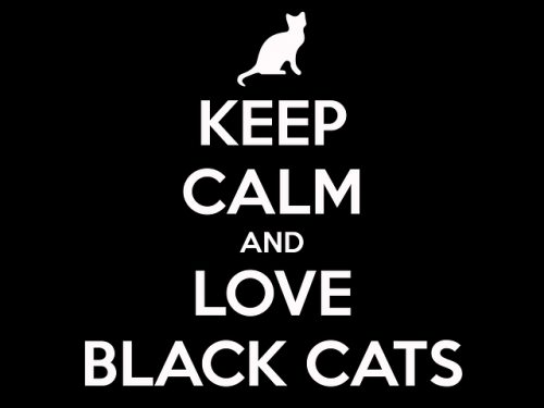 17 Reasons to Own a Black Cat