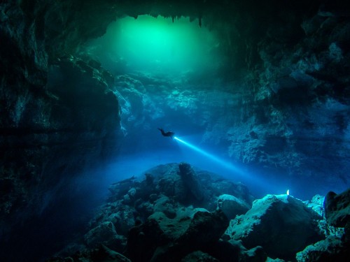 Check out these fantastic underwater adventures from around the world.