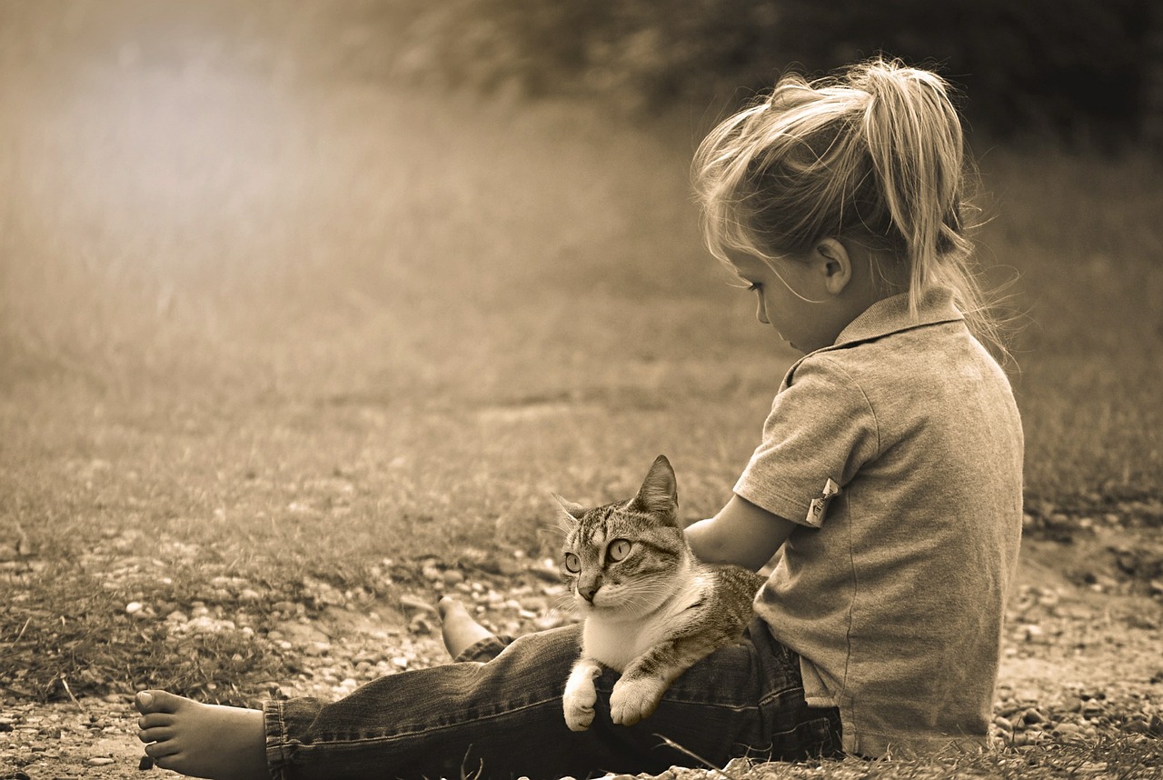How Cats Can Prepare You for Raising a Child