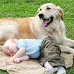 7 Reasons Your Family Needs a Dog